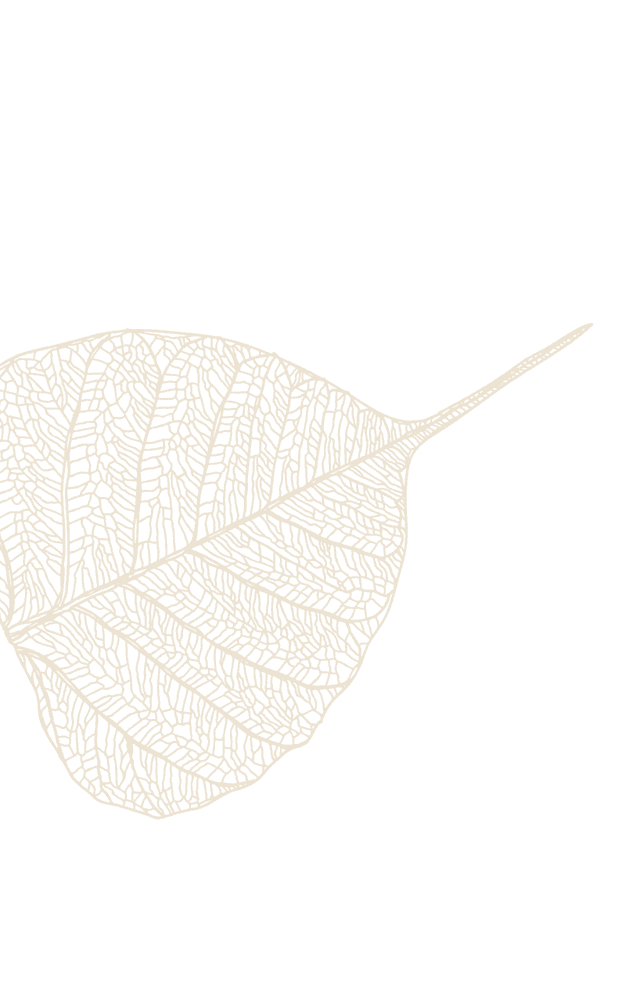 Swinging Leaf